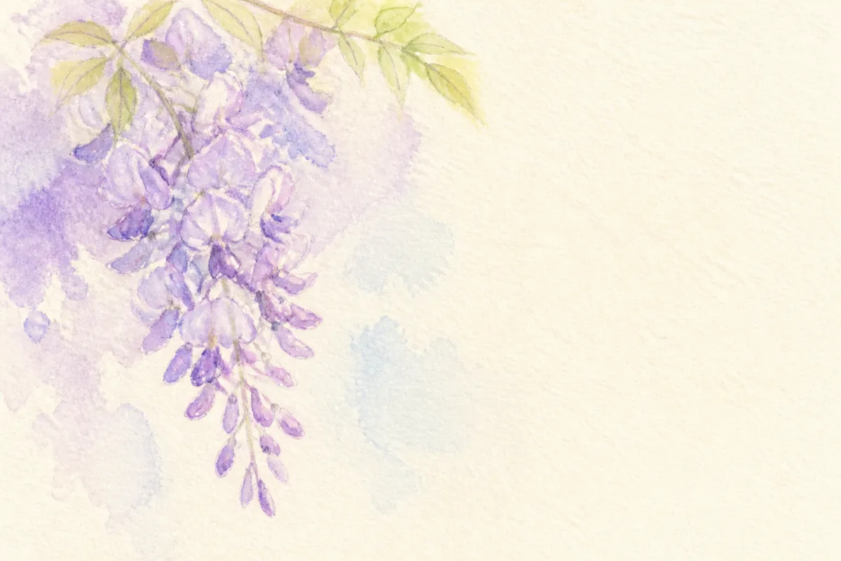 藤の花のクローズアップの水彩イラスト